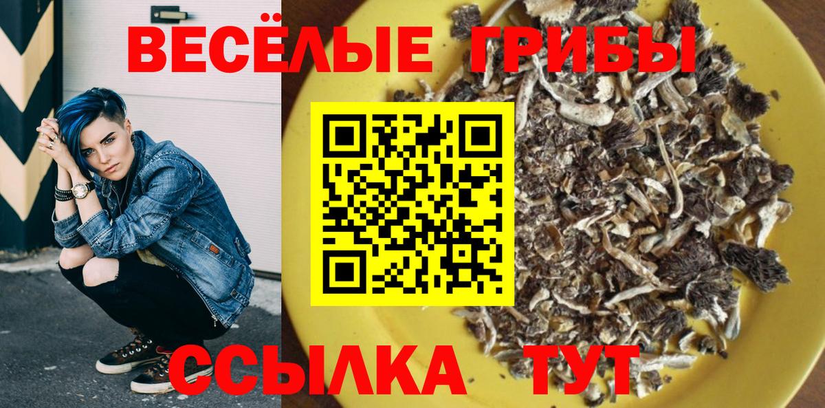Псилоцибиновые грибы GOLDEN TEACHER  где купить наркоту  Печора  Вход с VPN 