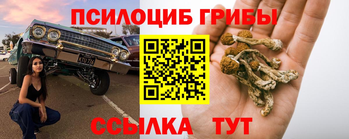 Галлюциногенные грибы Psilocybine cubensis Печора